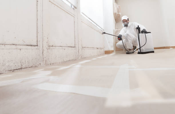 24/7 Emergency Mold Remediation experts in Puyallup, WA