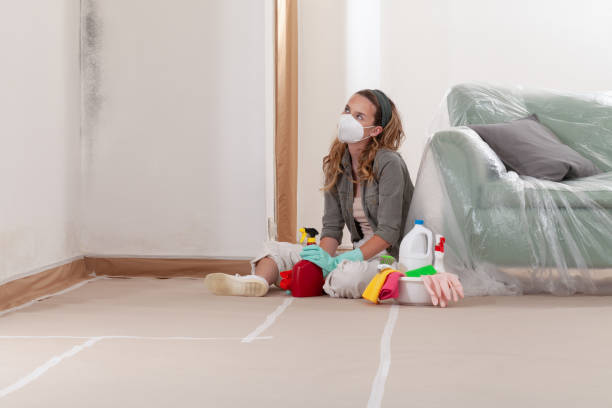 Reliable Mold Remediation contractor in Puyallup, WA by 24 Hour Mold Removal